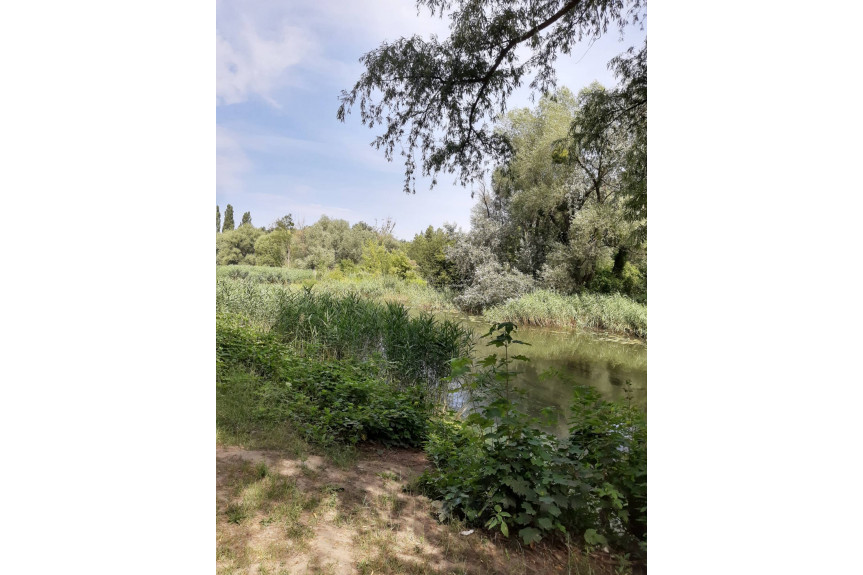 Wrocław, Krzyki, Przedmieście Oławskie, Klasyczne 4 pok. mieszkanie Wrocław okolice ul. Krakowska
